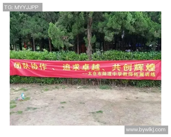 杭州篮球队的团队协作之道：共创辉煌的背后故事与实践探索