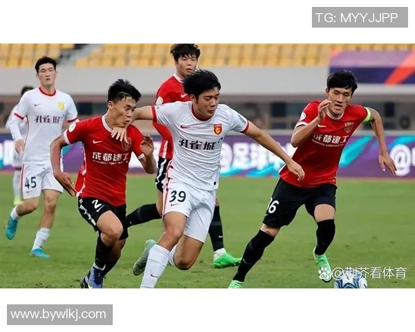 成都排球队力量争议引发热议球迷对实力与战术的不同看法交锋