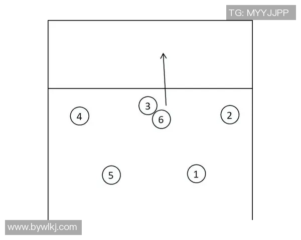 北京排球队控制打法深度分析与战术解读